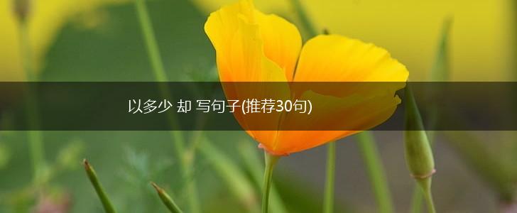 以多少 却 写句子(推荐30句),第1张