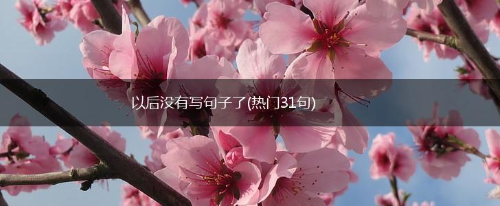 以后没有写句子了(热门31句),第1张