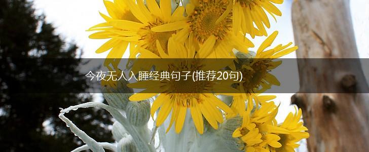 今夜无人入睡经典句子(推荐20句),第1张