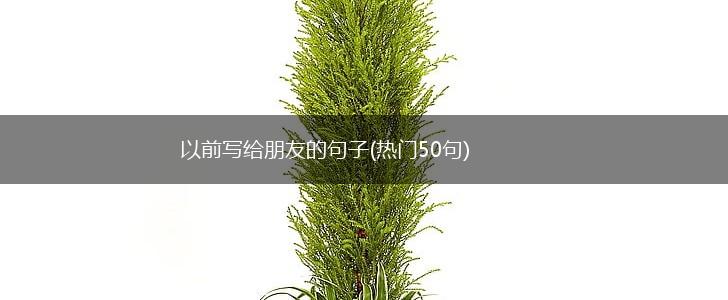 以前写给朋友的句子(热门50句),第1张