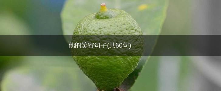 他的笑容句子(共60句),第1张