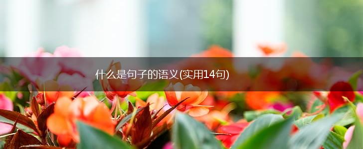 什么是句子的语义(实用14句),第1张