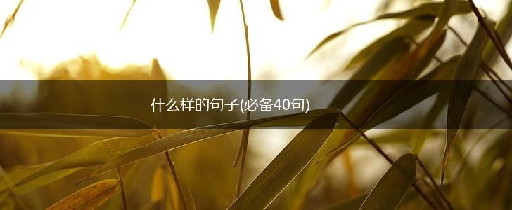 什么样的句子(必备40句),第1张
