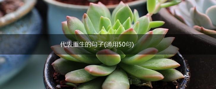 代表重生的句子(通用50句),第1张