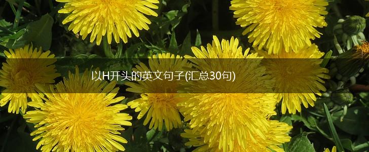 以H开头的英文句子(汇总30句),第1张