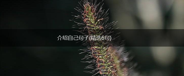 介绍自己句子(精选6句),第1张