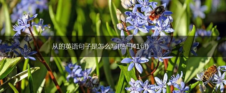 从的英语句子是怎么写(热门41句),第1张