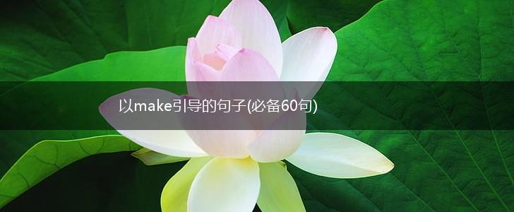 以make引导的句子(必备60句),第1张
