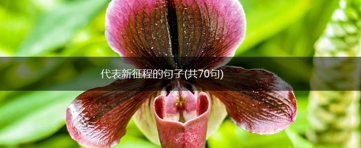 代表新征程的句子(共70句),第1张