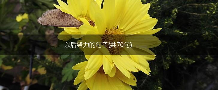 以后努力的句子(共70句),第1张