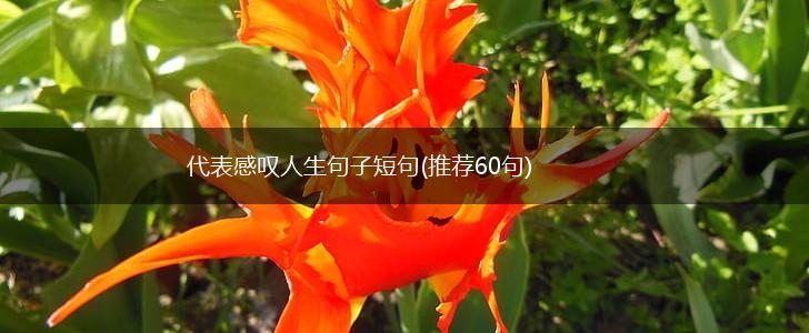 代表感叹人生句子短句(推荐60句),第1张