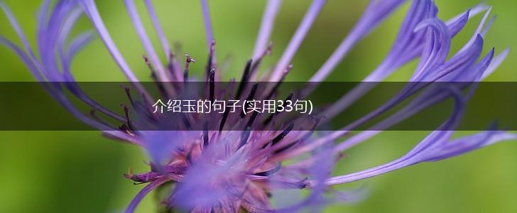 介绍玉的句子(实用33句),第1张