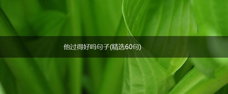 他过得好吗句子(精选60句),第1张