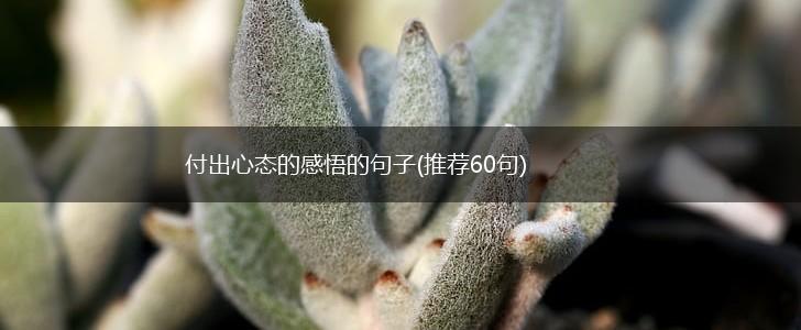 付出心态的感悟的句子(推荐60句),第1张