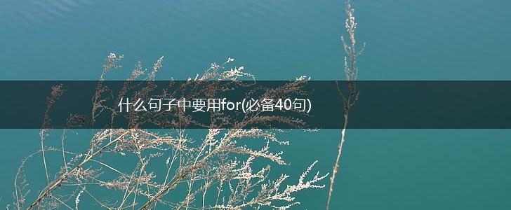 什么句子中要用for(必备40句),第1张