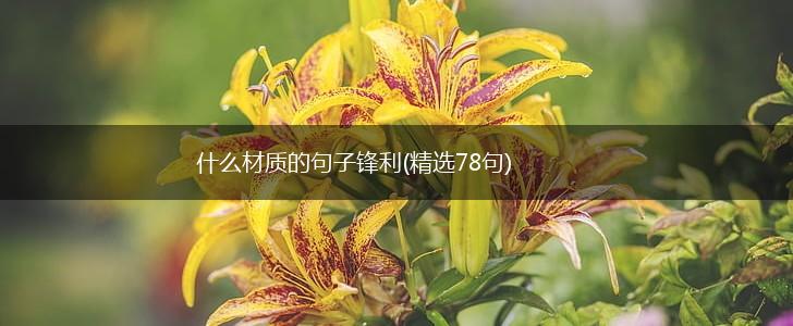 什么材质的句子锋利(精选78句),第1张