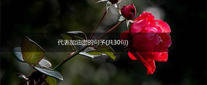 代表加油贵的句子(共30句),第1张