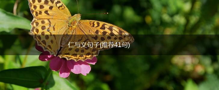 仁与义句子(推荐41句),第1张