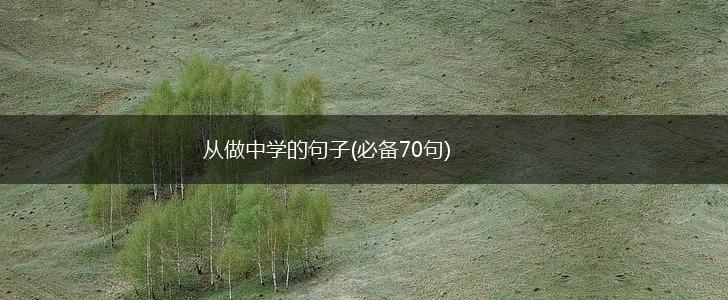 从做中学的句子(必备70句),第1张