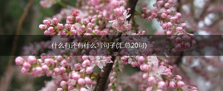 什么有还有什么写句子(汇总20句),第1张