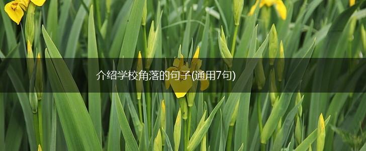 介绍学校角落的句子(通用7句),第1张