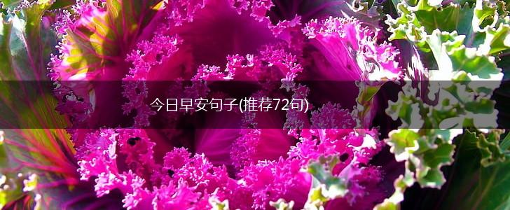 今日早安句子(推荐72句),第1张