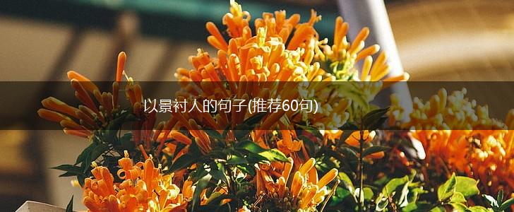 以景衬人的句子(推荐60句),第1张