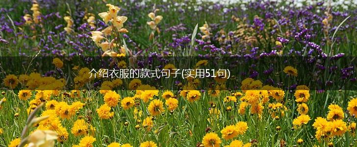 介绍衣服的款式句子(实用51句),第1张