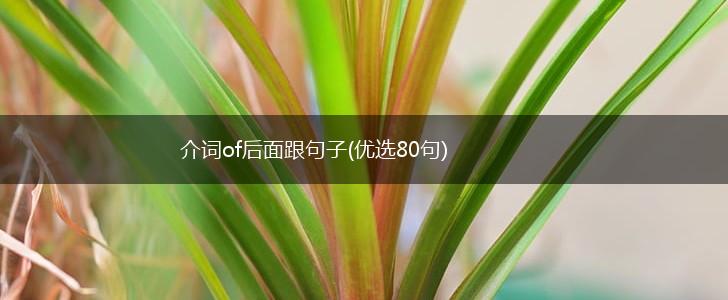 介词of后面跟句子(优选80句),第1张