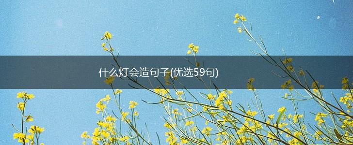 什么灯会造句子(优选59句),第1张