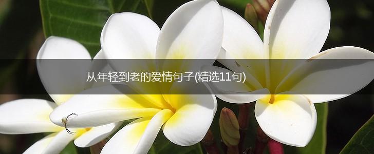 从年轻到老的爱情句子(精选11句),第1张