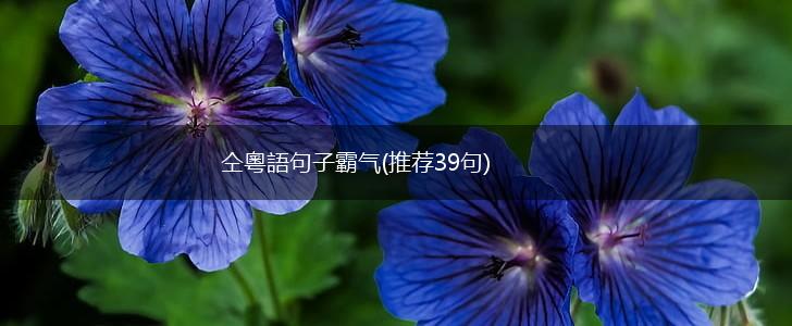 仝粵語句子霸气(推荐39句),第1张