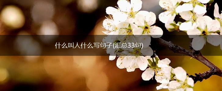 什么叫人什么写句子(汇总33句),第1张 什么叫人什么写句子(汇总33句),第1张