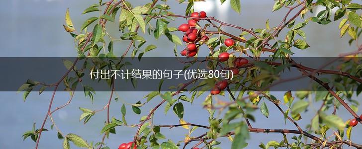 付出不计结果的句子(优选80句),第1张