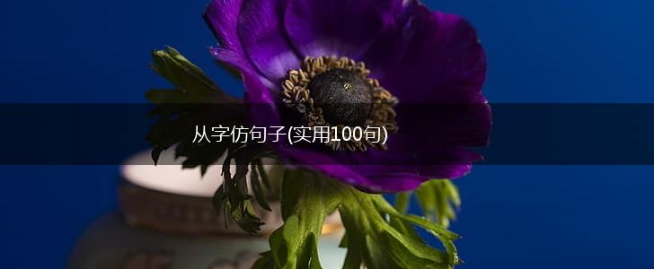 从字仿句子(实用100句),第1张