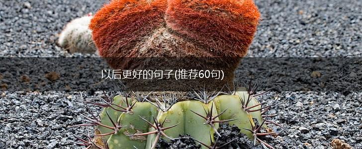 以后更好的句子(推荐60句),第1张