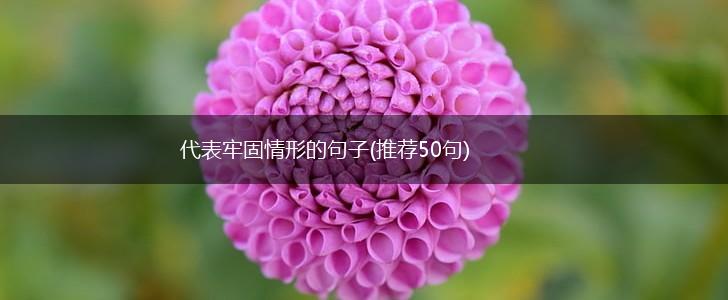 代表牢固情形的句子(推荐50句),第1张