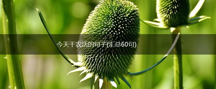今天干农活的句子(汇总60句),第1张