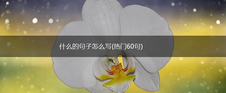 什么的句子怎么写(热门60句),第1张