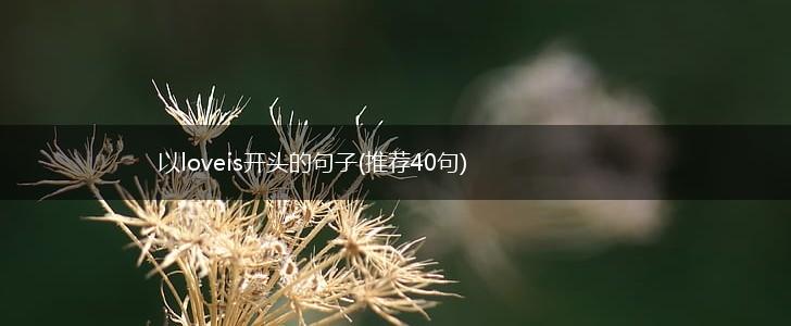 以loveis开头的句子(推荐40句),第1张