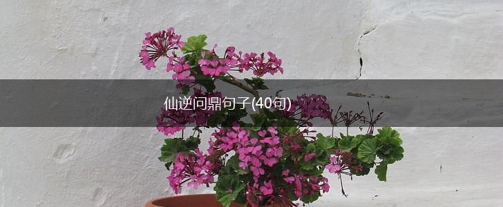 仙逆问鼎句子(40句),第1张