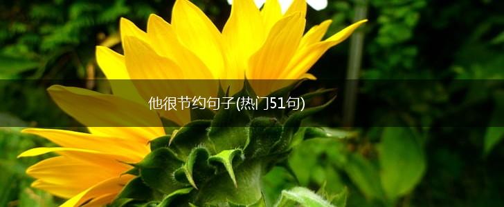 他很节约句子(热门51句),第1张
