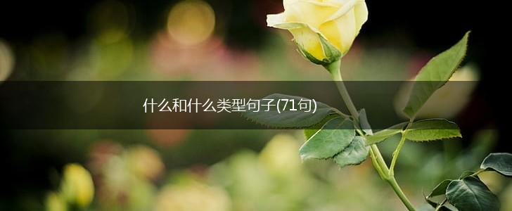 什么和什么类型句子(71句),第1张 什么和什么类型句子(71句),第1张