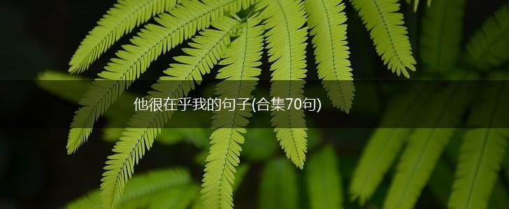 他很在乎我的句子(合集70句),第1张