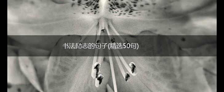 书法励志的句子(精选50句),第1张