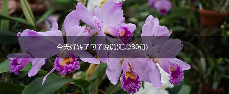 今天好转了句子说说(汇总30句),第1张