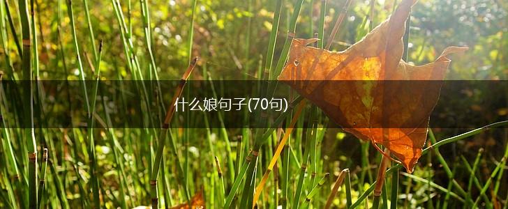 什么娘句子(70句),第1张 什么娘句子(70句),第1张