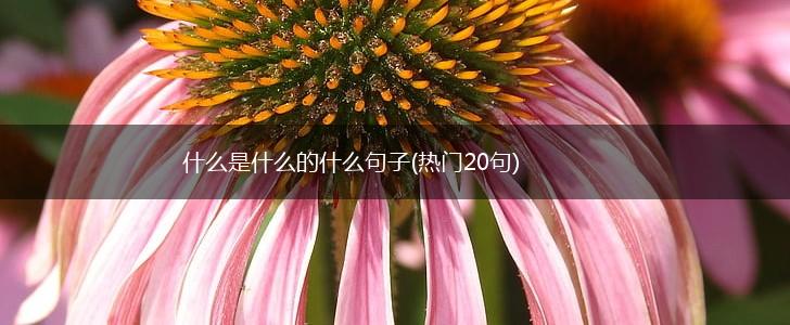 什么是什么的什么句子(热门20句),第1张