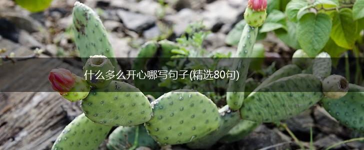 什么多么开心哪写句子(精选80句),第1张