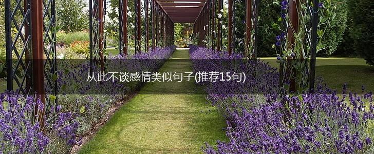 从此不谈感情类似句子(推荐15句),第1张